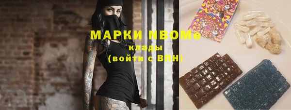 прущие грибы Богородицк