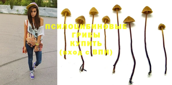 a pvp Белоозёрский