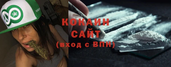 прущие грибы Белокуриха