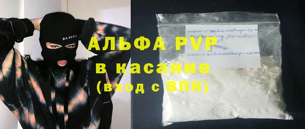 прущие грибы Белокуриха