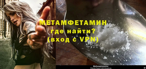 прущие грибы Богородицк
