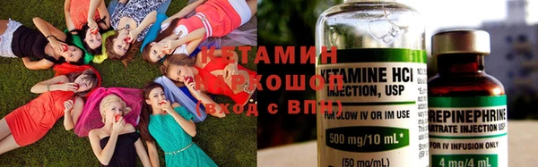 прущие грибы Богородицк