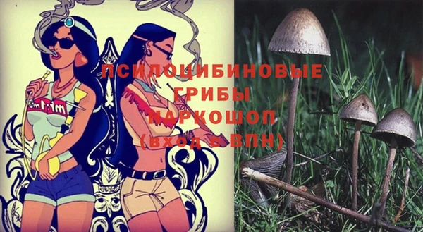 a pvp Белоозёрский