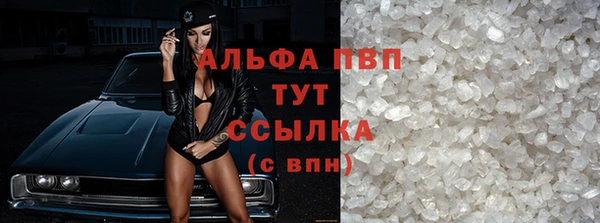 прущие грибы Белокуриха