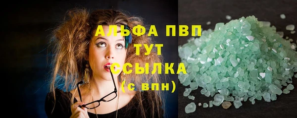 прущие грибы Белокуриха
